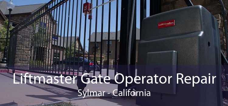 Liftmaster Gate Operator Repair Sylmar - California